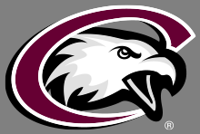 CSC Eagle Logo with white registered trademark symbol on gray background.