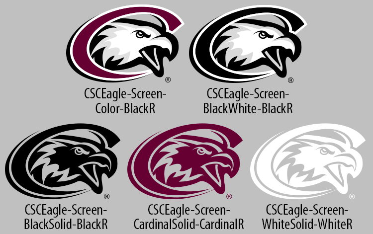 CSC Eagle Logo, standalone style, specimen chart.