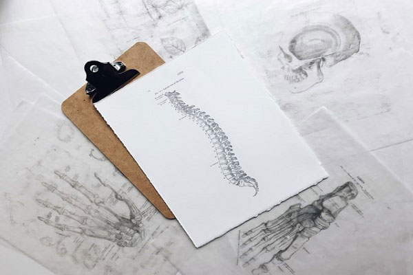 Sketch of a spine