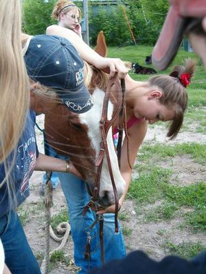 People pet horse