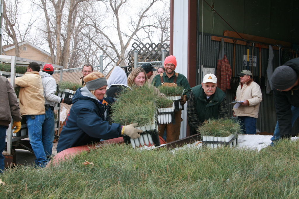 Workers on Thursday load a trailer with a portion of the ponderosa pine seedlings that will be planted in the C Hill area.