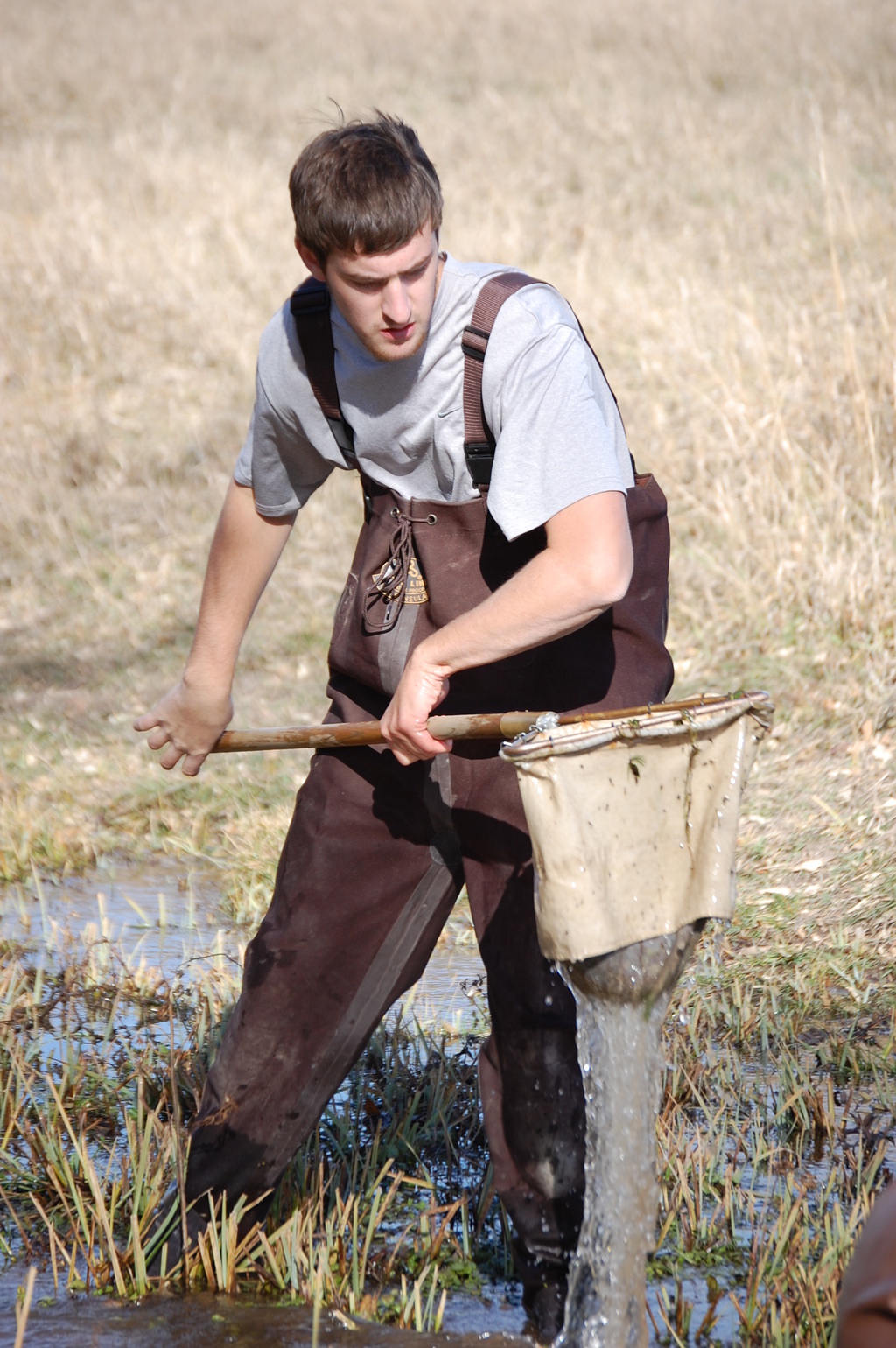 Brady Baker of Kimball collects a sample of invertebrates with a dip net at Chadron Creek.