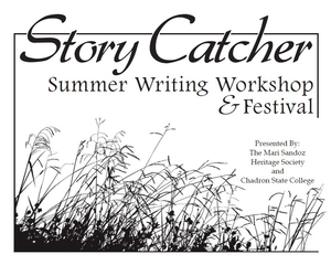 Story Catcher poster