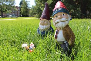 Gnomes in the grass