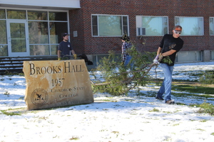 Students assist with moving tree limbs across Brooks Hall lawn