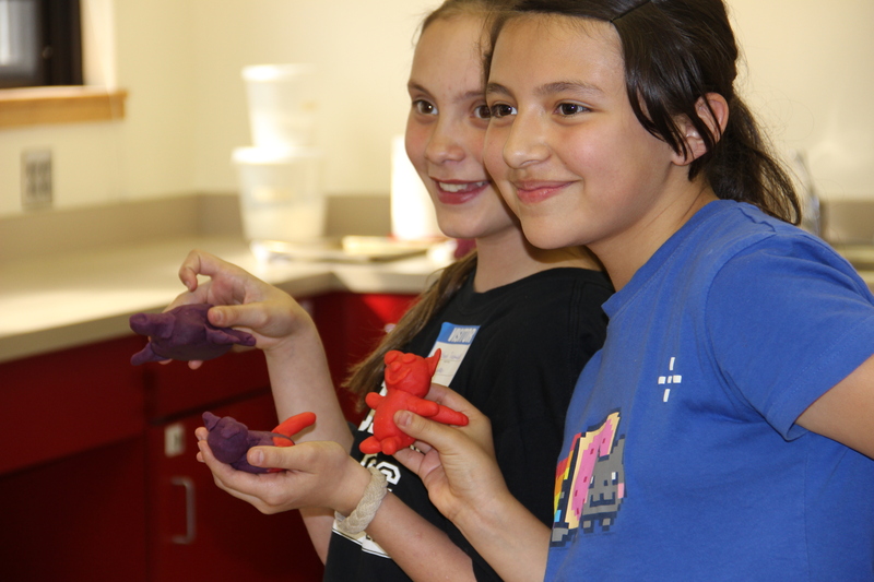 Chadron Middle School students display their clay models demonstrating inherited and non-inherited traits in a genetics unit taught by CSC students who have been learning innovative methods for teaching elementary science.