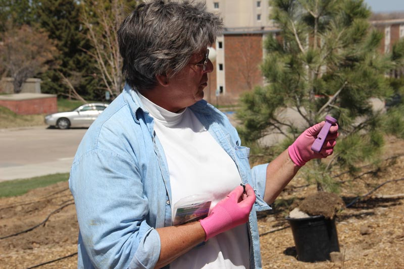 Chadron State College Campus Horticulturist, Lucinda Mays, explains to Campus Arboretum Volunteers the proper use of a tool to make openings for emitters in a drip line during a CAV workday in April 2013