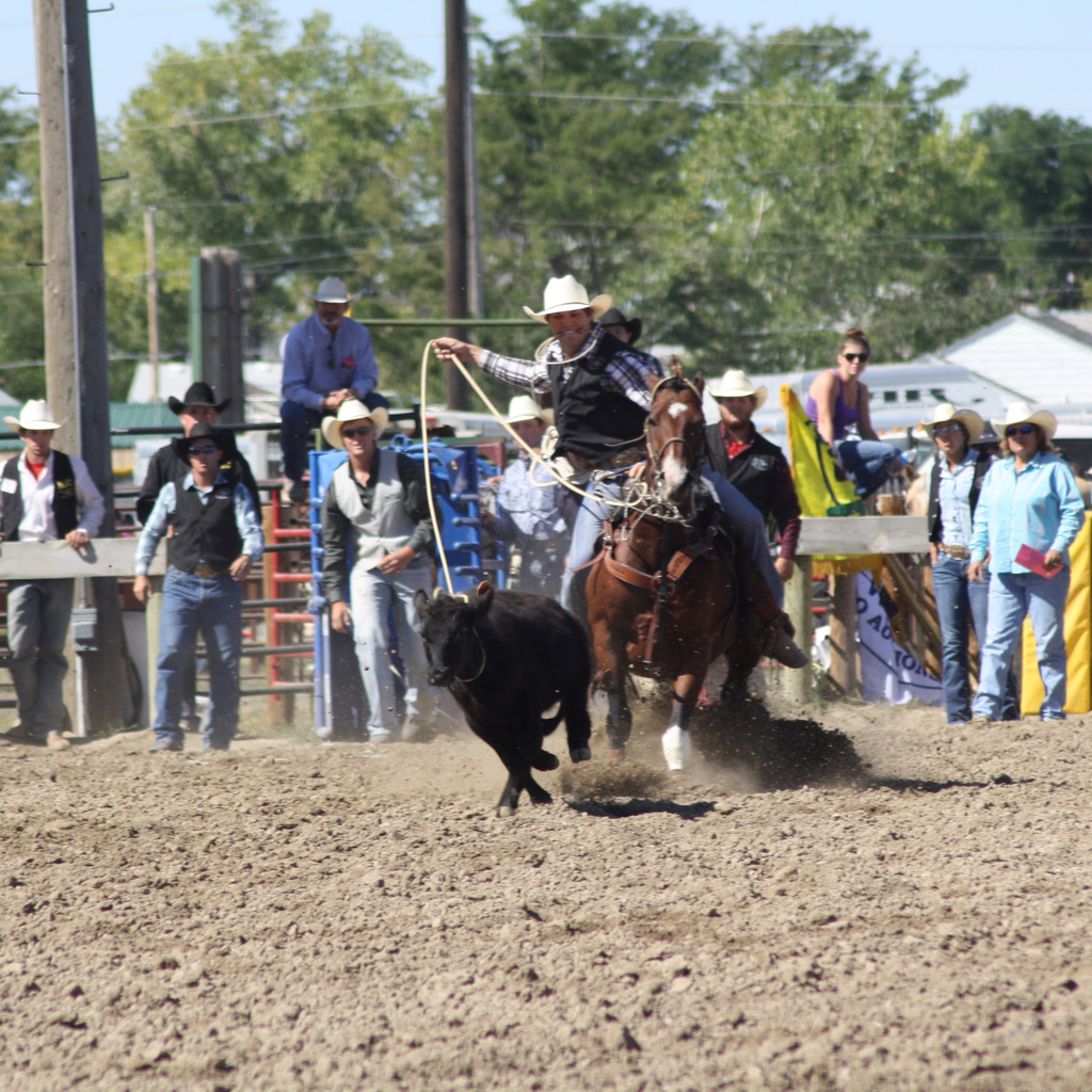 Prestyn Novak competes for the CSC rodeo team during the rodeo in Chadron Sept. 6. (Photo by Con Marshall)