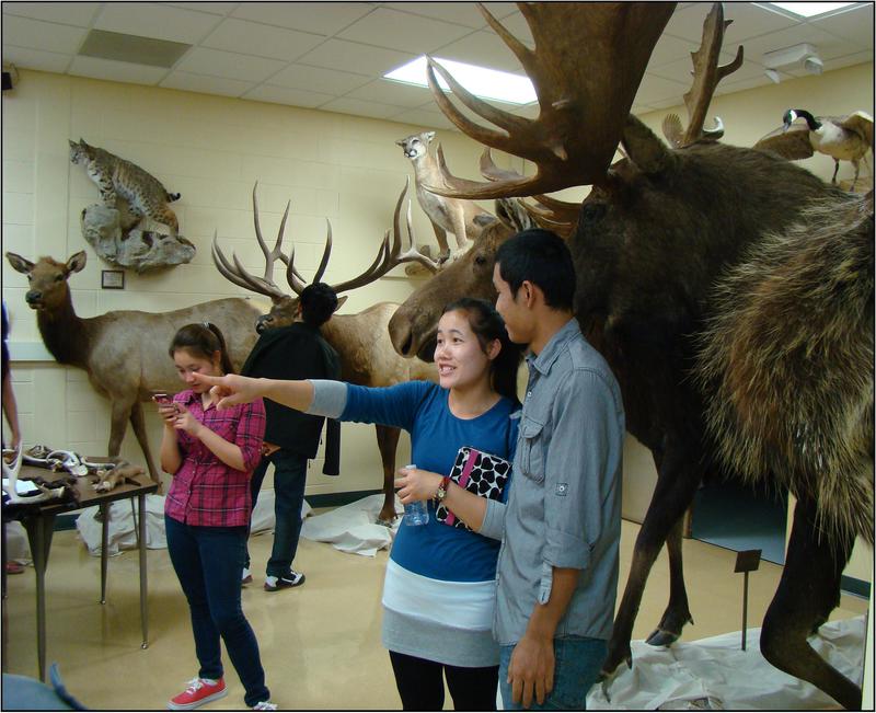 Job Corps student tour the Cabela's collection of animal mounts in the Burkhiser Technology Complex.