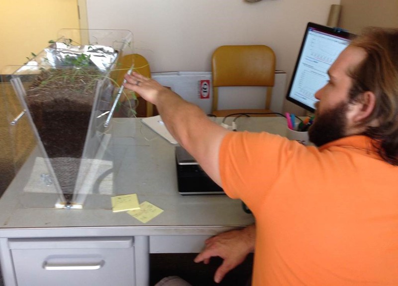 Tony Perlinski uses a clear-sided demonstration box to show how infiltration rates differ in soil with plant cover.