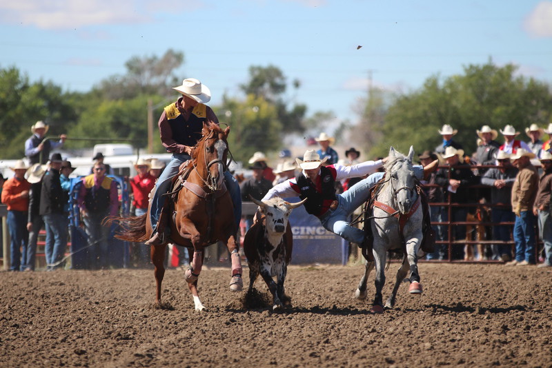 CSC's Lane Day, right, during the steer wrestling