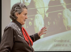 Dr. Temple Grandin speaks to CSC faculty and staff