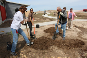 Volunteers prepare soil to plant rabbit brush