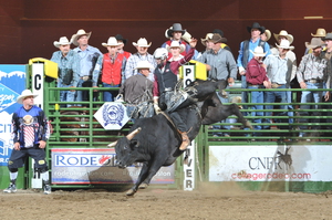 Dakota Rice rides bulls