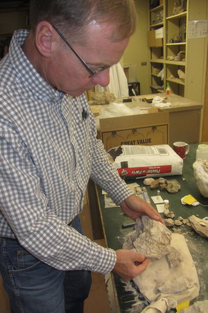 Mike Leite examines fossil