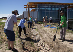 Volunteers plant sedge and other plants