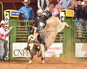 Dakota Rice bull riding