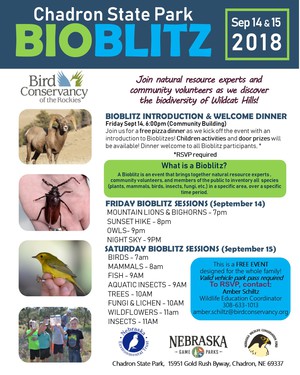 Bioblitz poster