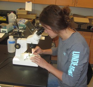 Vanessa Yeoman using microscope