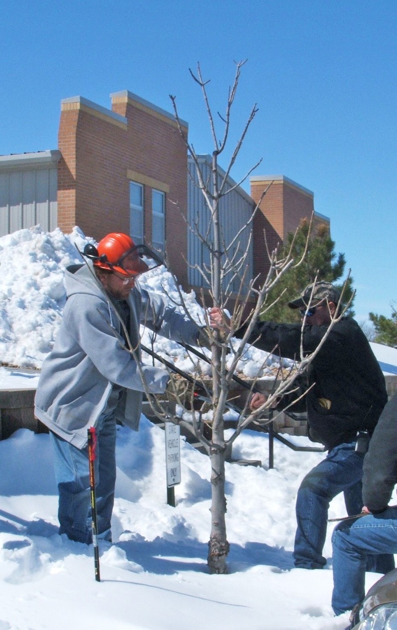 2019-02-25 CSC offers workshop for tree care professionals