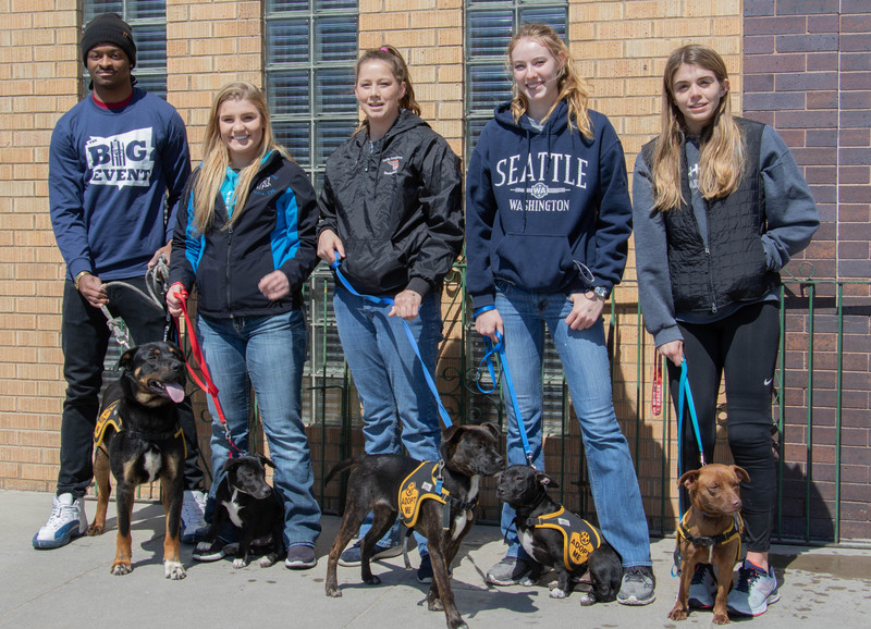 The Big Event volunteers help with a Friends of Pets adoption event April 13, 2019, at the Bean Broker.