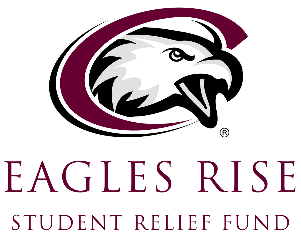 Eagles Rise Student Relief Fund Graphic