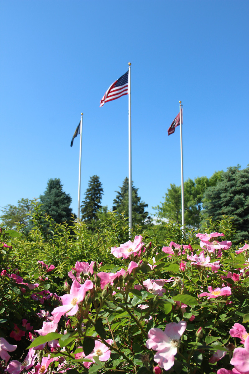 CSC's campus flags wave above the garden of flowers in front of Old Admin.