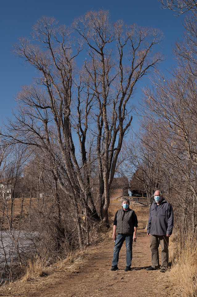 Lucinda Mays and Steve Rolfsmeier stand with a peachleaf willow at Briggs Pond