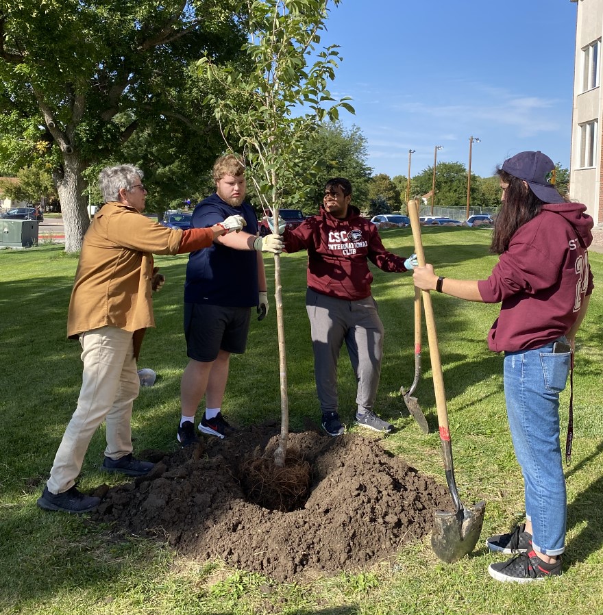 Students planting a tree