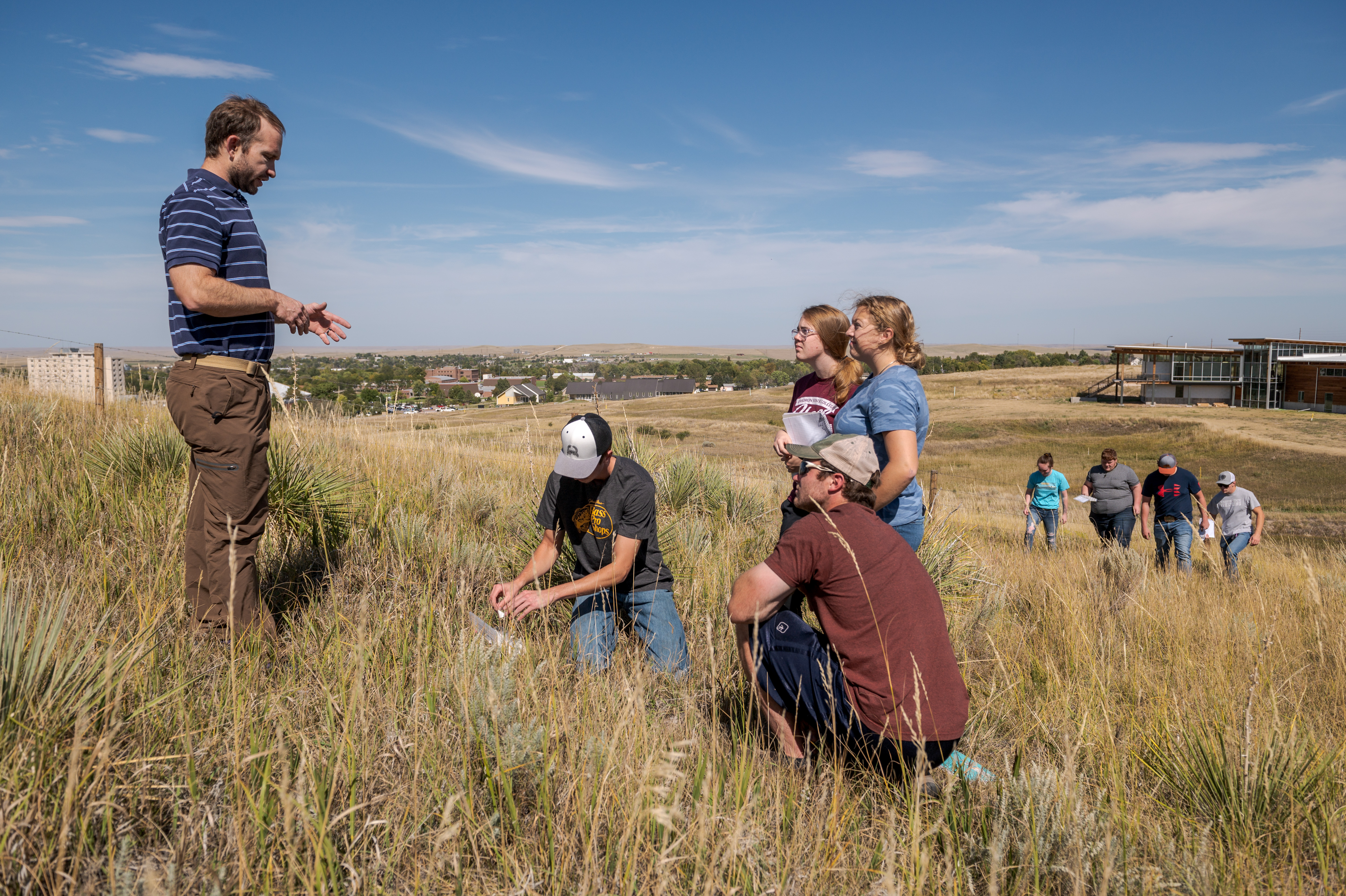 Adults doing ag research in a pasture