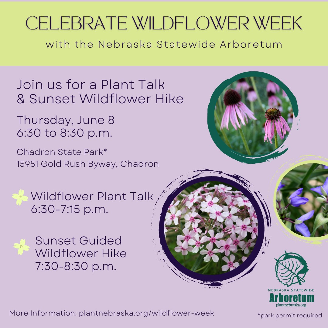 Poster about Wildflower week