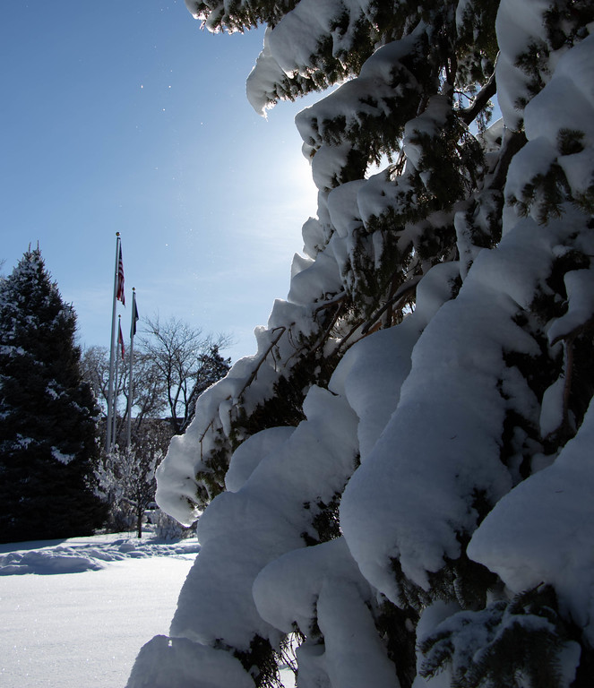 Snowy scene with trees and flags