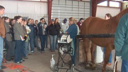 Students in an equine studies class